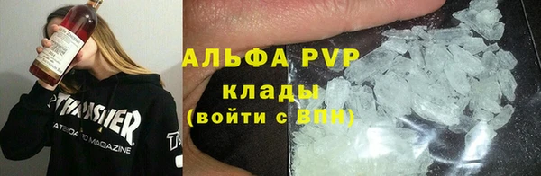 стаф Осинники