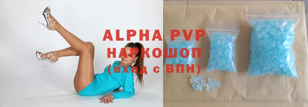 стаф Осинники
