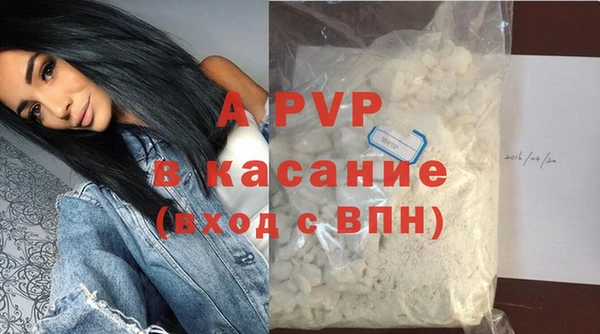 стаф Осинники