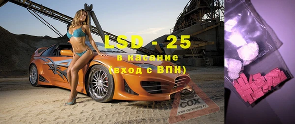 стаф Осинники