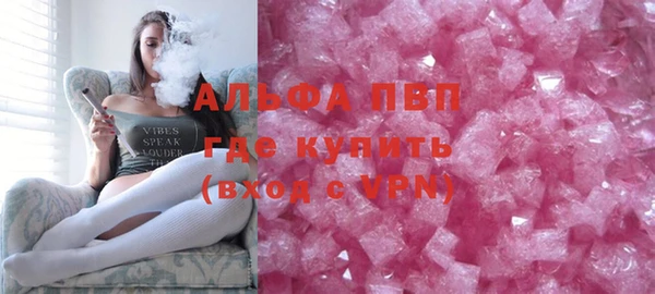 стаф Осинники