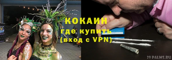 стаф Осинники