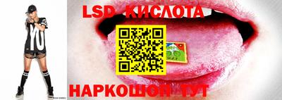 ALPHA-PVP Донской
