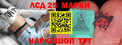 spice Донецк