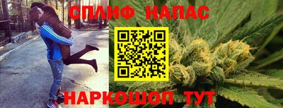 ПСИЛОЦИБИНОВЫЕ ГРИБЫ Дубна