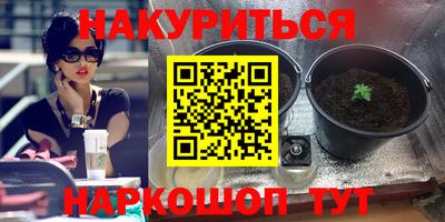 эйфоретик Берёзовский