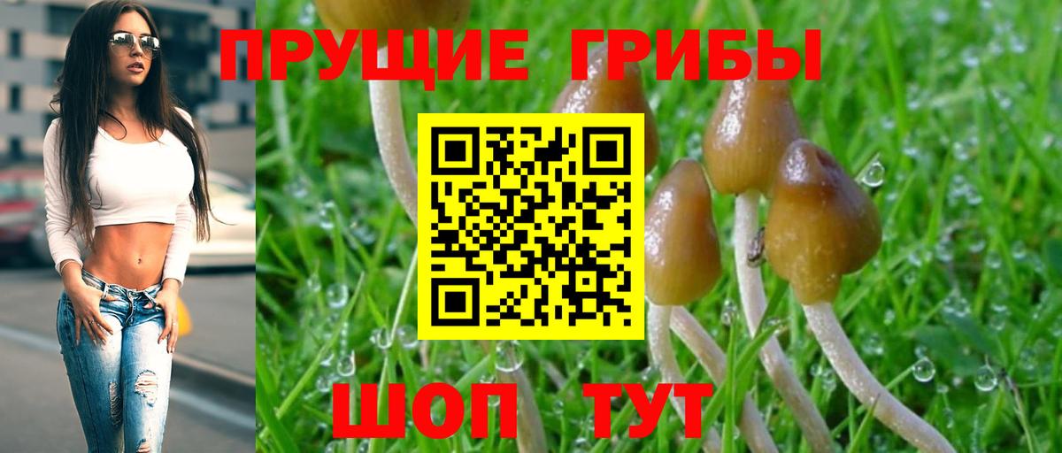 NBOMe Саратов