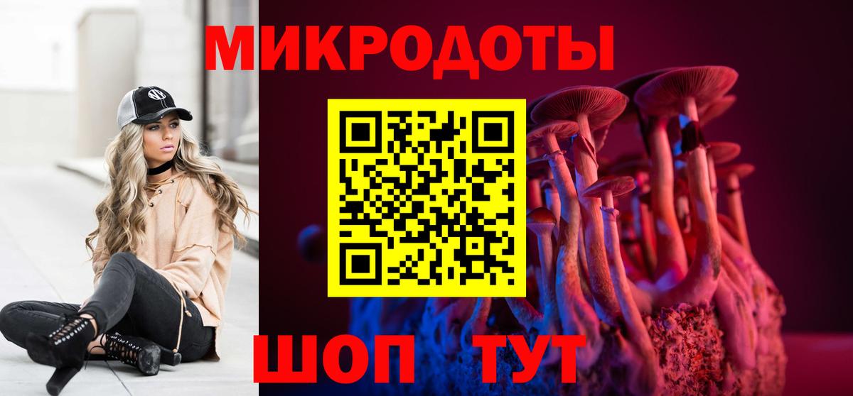 как найти   Вход с VPN  Саратов  Галлюциногенные грибы GOLDEN TEACHER 