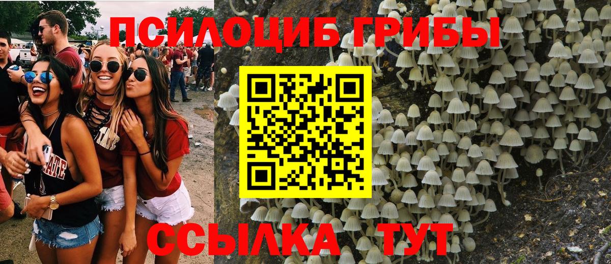 Галлюциногенные грибы MAGIC MUSHROOMS  Саратов 